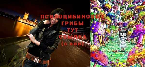 СК Абинск