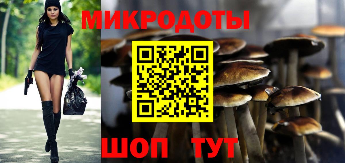 Псилоцибиновые грибы Cubensis  Вход с VPN  Ржев 